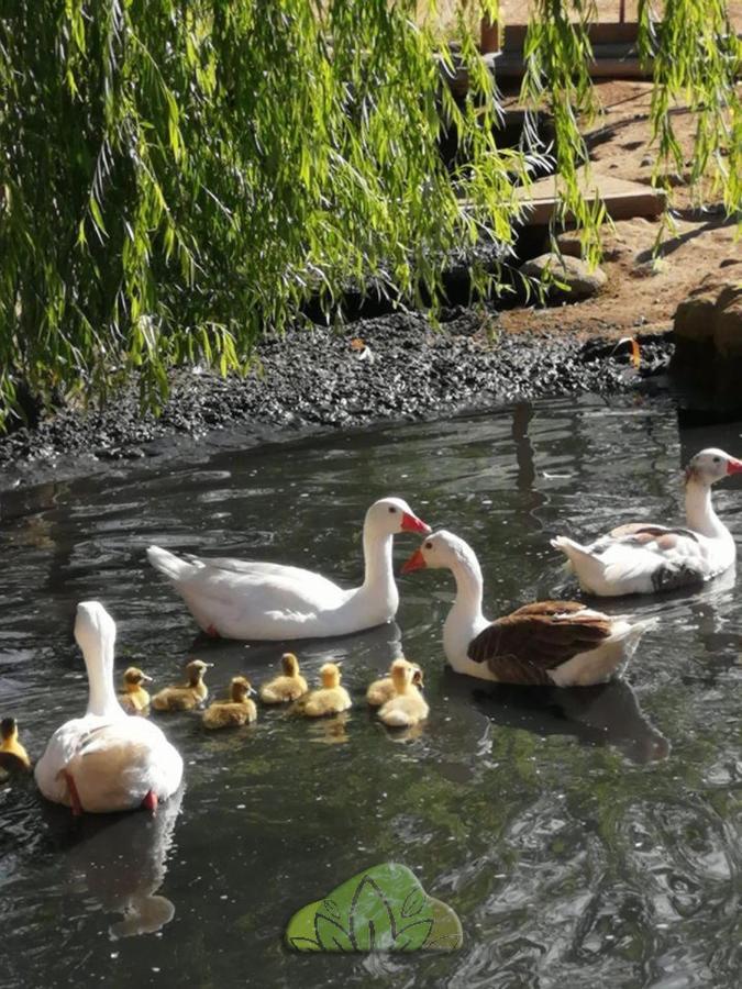SalamancaPircas De Arboleda别墅 外观 照片